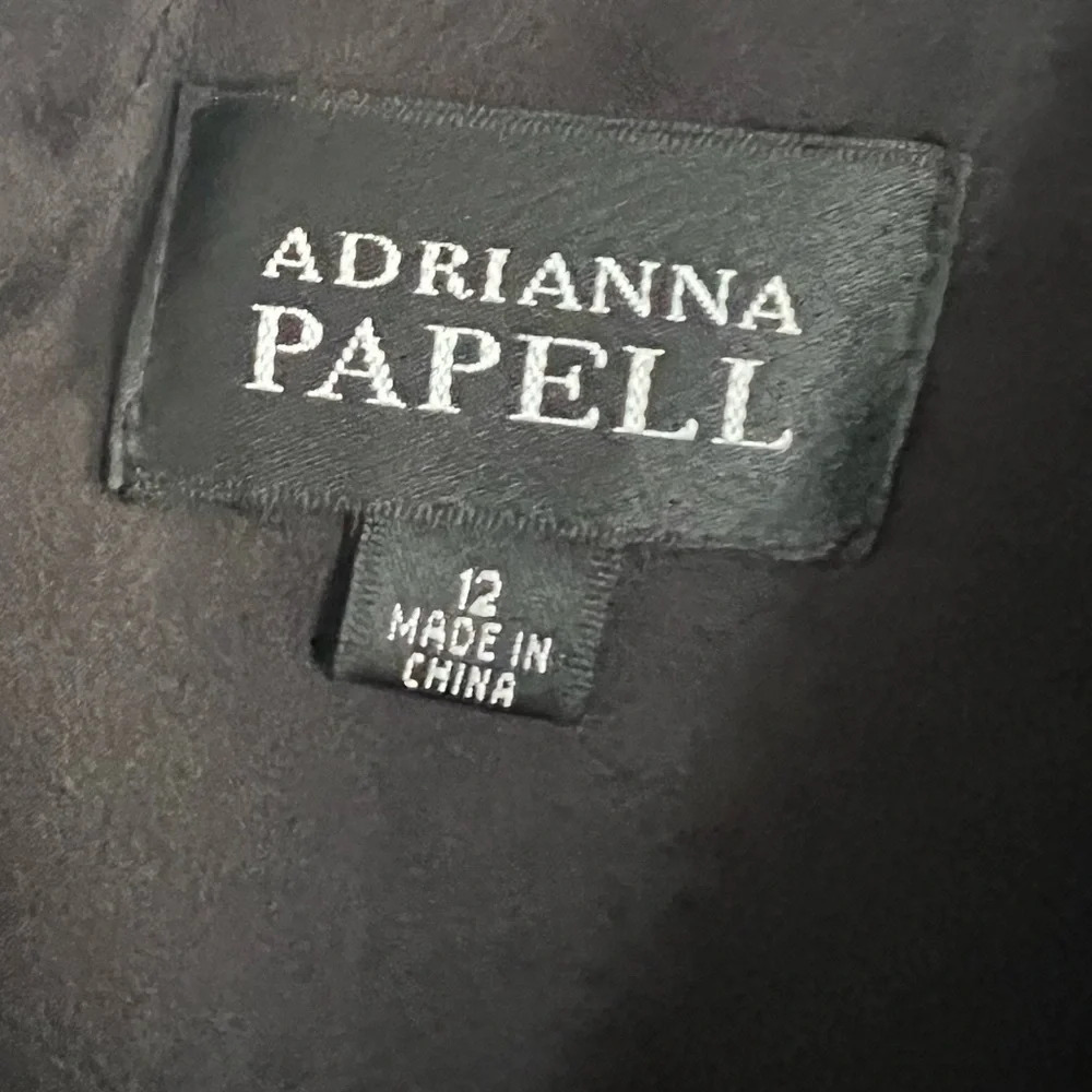 Adrianna Papell Black Lace Dress - Picture 9 of 10